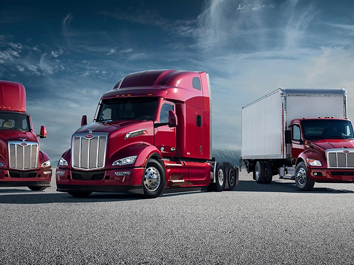 PTI Training Program