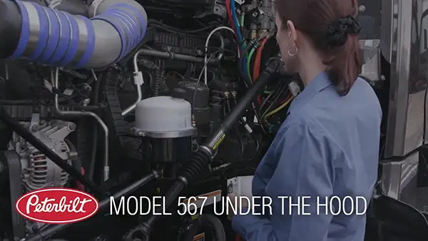 Model 567 Under the Hood